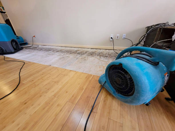 Professional Water Damage Repair technician working in Delaware, DE